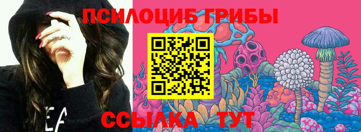 Галлюциногенные грибы мицелий Железногорск