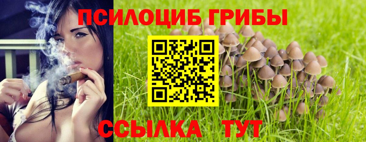 Псилоцибиновые грибы MAGIC MUSHROOMS  Вход с VPN  Железногорск 